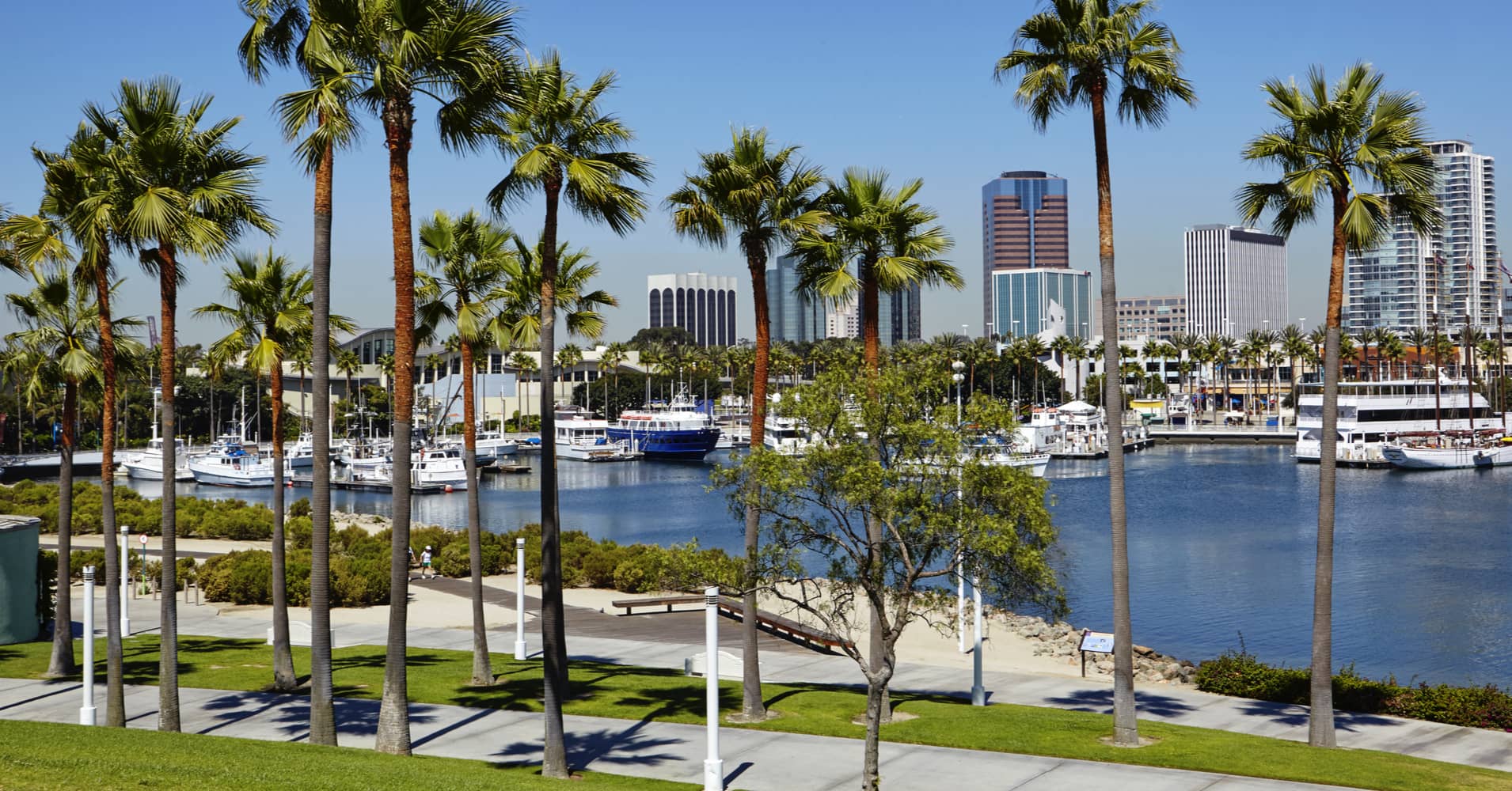 Finde Deinen perfekten Ort: Wo Deine Persönlichkeit aufblüht