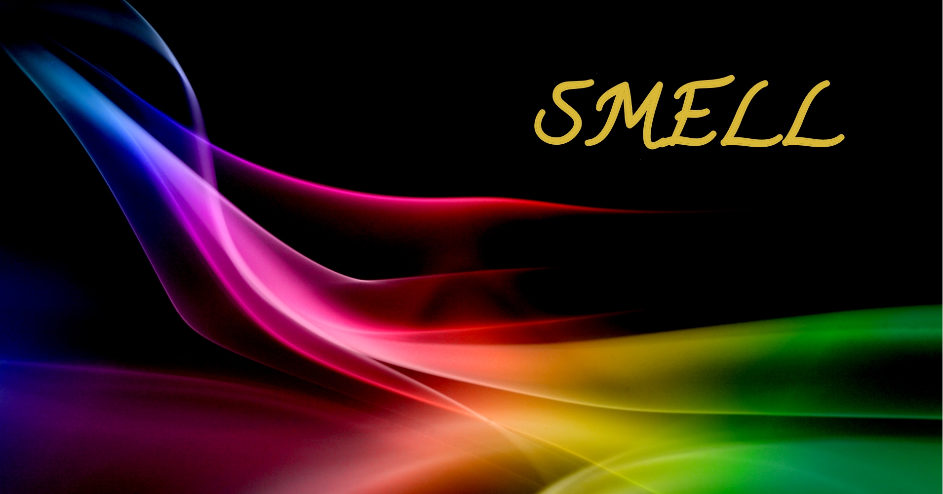 Welcher Dufttyp sind Sie?